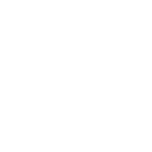 Logotipo nome minimalista em branco e preto (9)